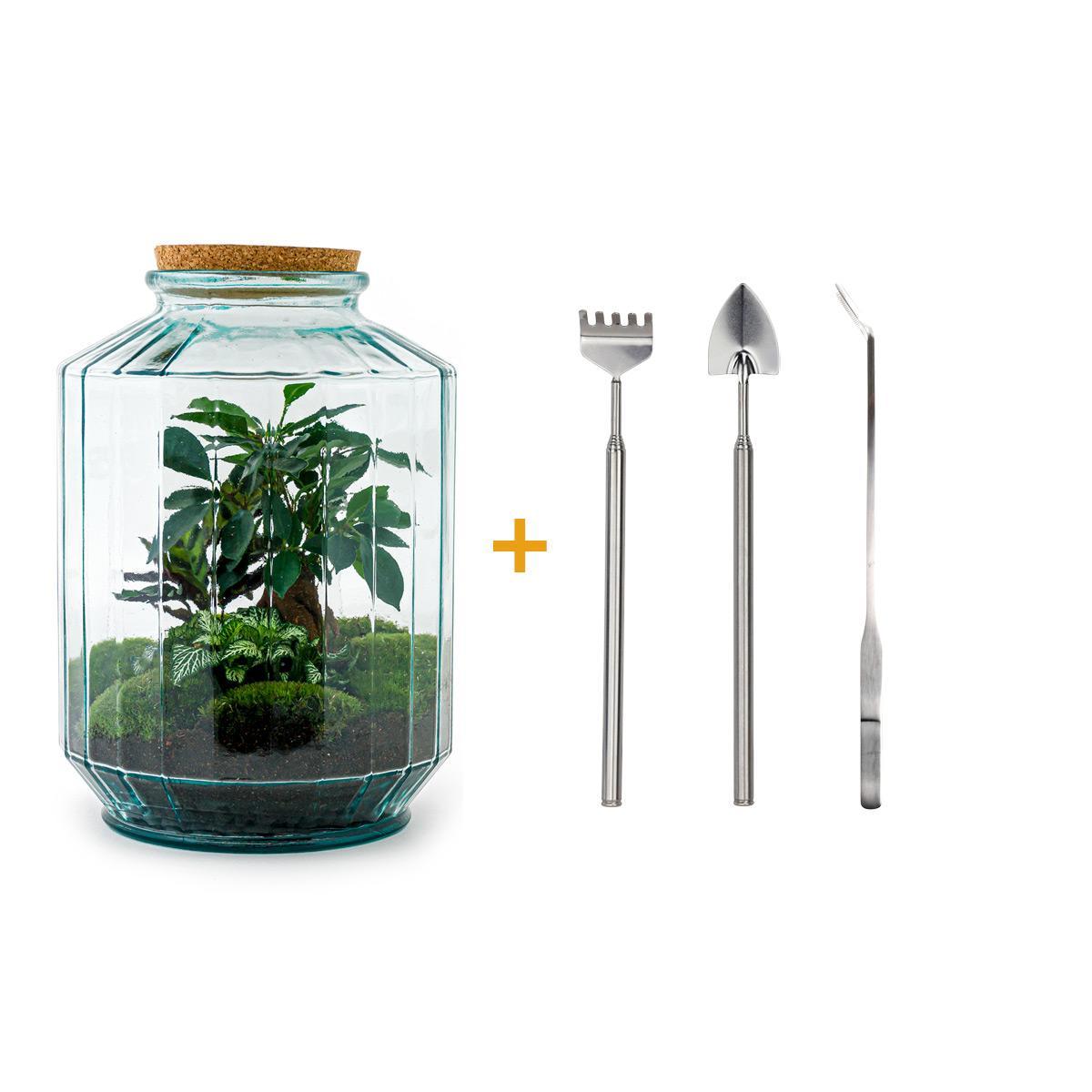 Doe-Het-Zelf terrarium - Botanical Garden XL - ↕ 35 cm - Hark + Schop + Pincet