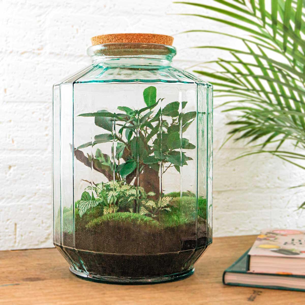 Doe-Het-Zelf terrarium - Botanical Garden XL - ↕ 35 cm - Hark + Schop + Pincet