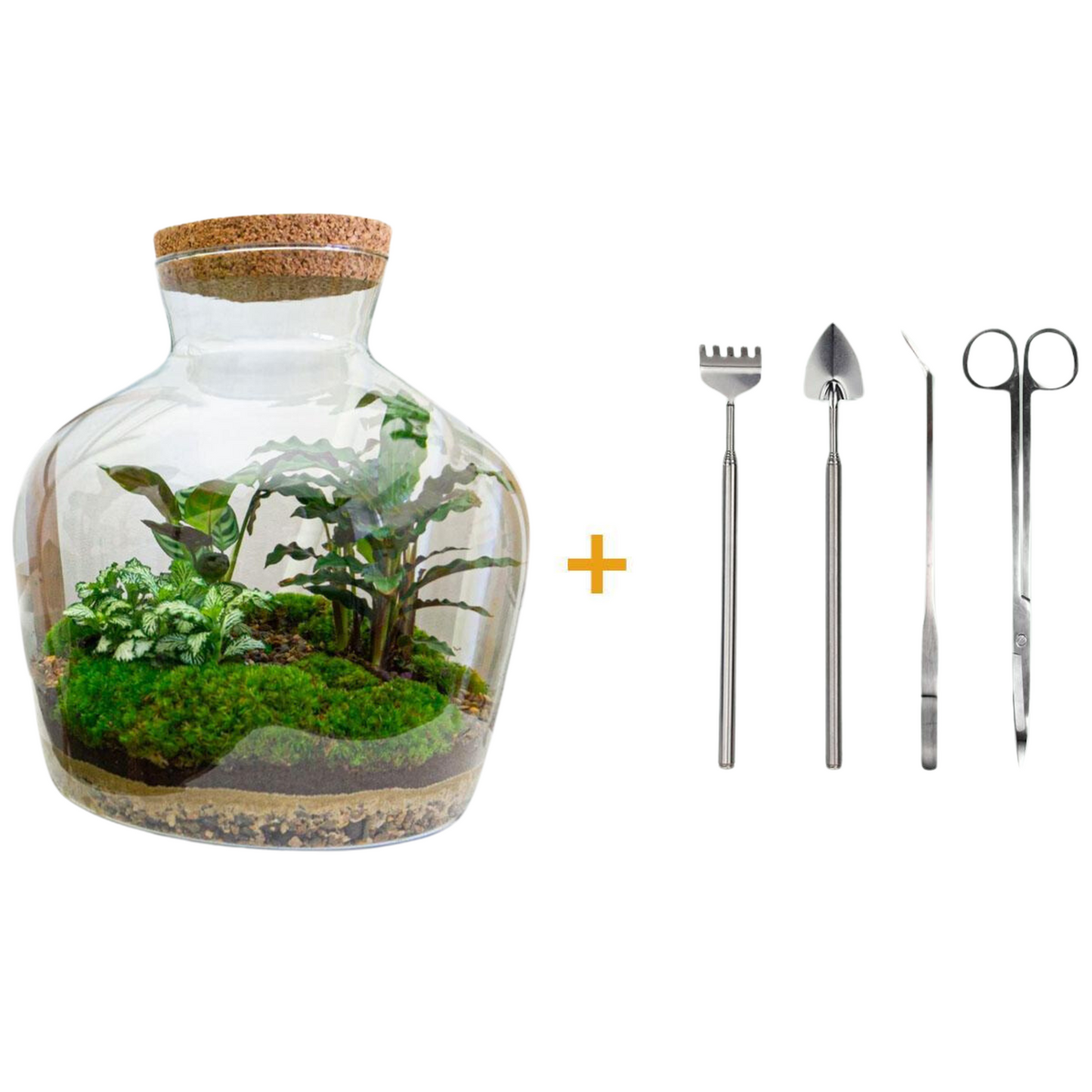 Doe-Het-Zelf terrarium -  Dikke Joey - ↕ 30 cm - Hark + Schop + Pincet - Schaar