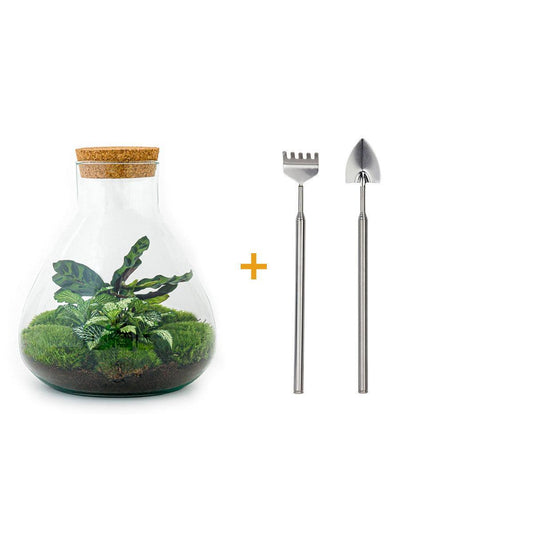 Doe-Het-Zelf terrarium - Sammie - ↕ 27 cm - Hark + Schop