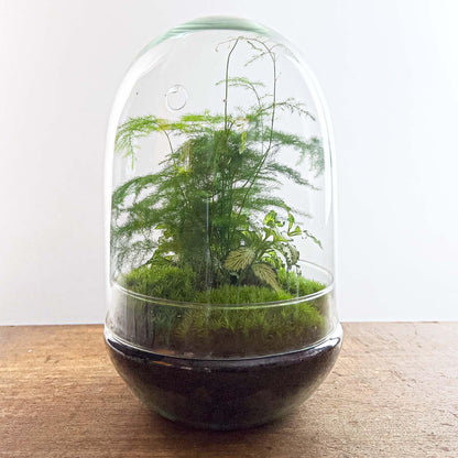 Doe-Het-Zelf terrarium - Ei XL - ↕ 30 cm