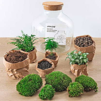 Doe-Het-Zelf terrarium -  Dikke Joey Groen - ↕ 30 cm