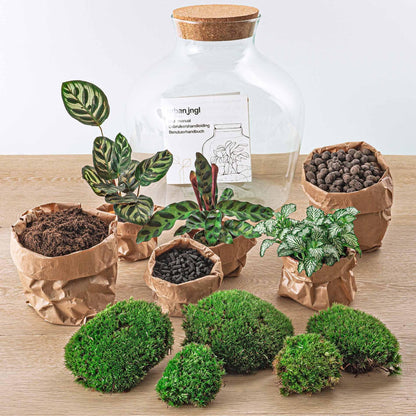 Doe-Het-Zelf terrarium -  Dikke Joey - ↕ 30 cm - Hark + Schop + Pincet - Schaar