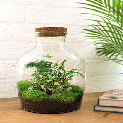 Doe-Het-Zelf terrarium -  Dikke Joey Groen - ↕ 30 cm