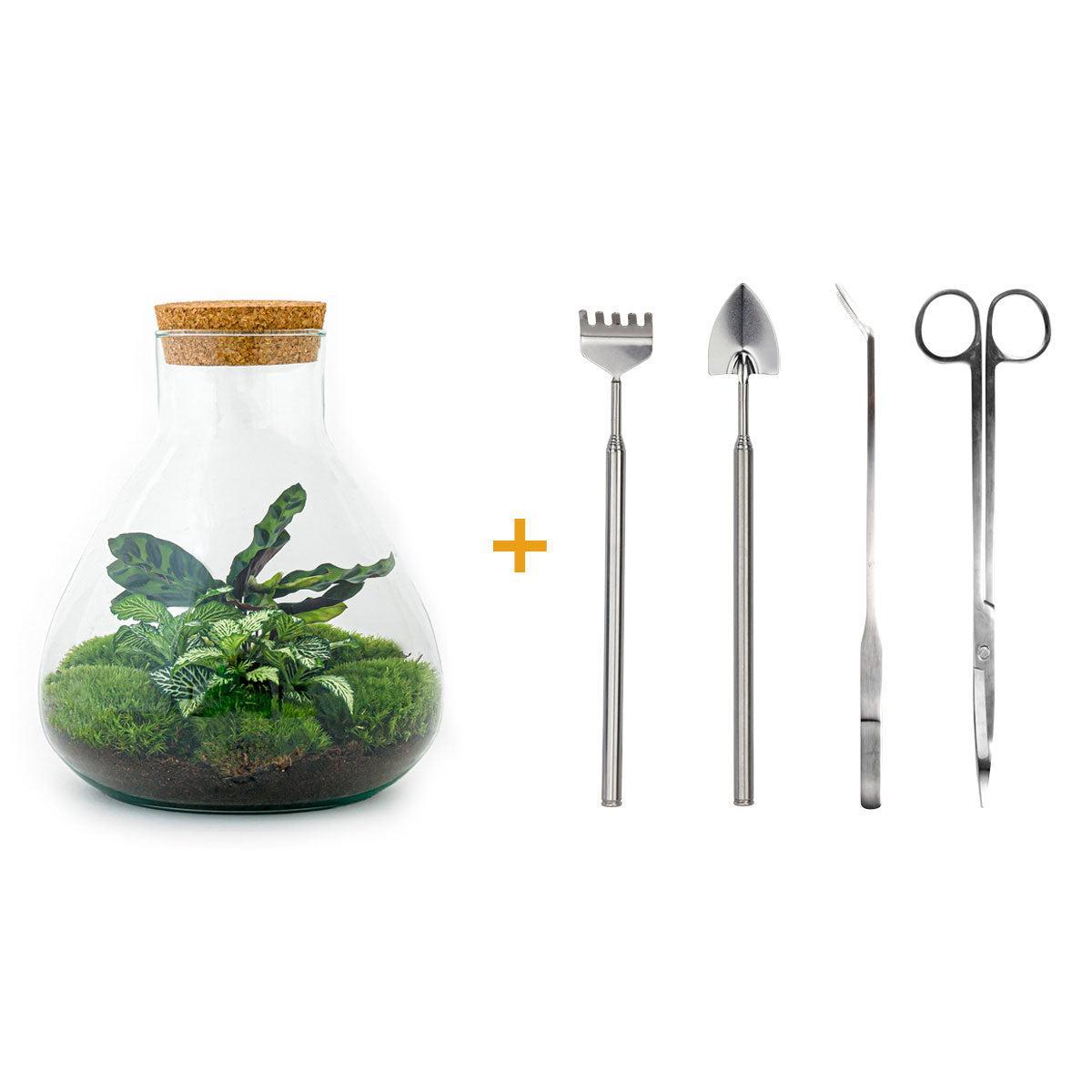 Doe-Het-Zelf terrarium - Sammie - ↕ 27 cm - Hark + Schop + Pincet - Schaar