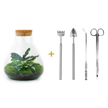 Doe-Het-Zelf terrarium - Sammie - ↕ 27 cm - Hark + Schop + Pincet - Schaar
