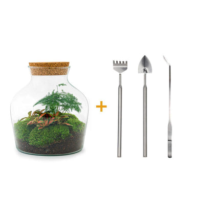 Doe-Het-Zelf terrarium - Kleine Joey - ↕ 21,5 cm - Hark + Schop + Pincet