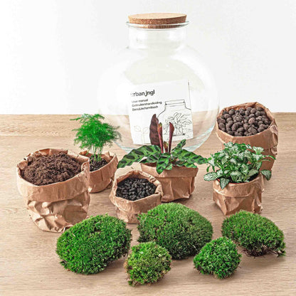 Doe-Het-Zelf terrarium - Bolder Bob Bonsai - ↕ 30 cm - Hark + Schop