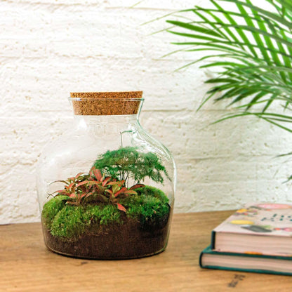 Doe-Het-Zelf terrarium - Kleine Joey - ↕ 21,5 cm - Hark + Schop + Pincet
