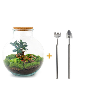 Doe-Het-Zelf terrarium - Bolder Bob Bonsai - ↕ 30 cm - Hark + Schop
