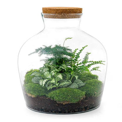 Doe-Het-Zelf terrarium -  Dikke Joey Groen - ↕ 30 cm